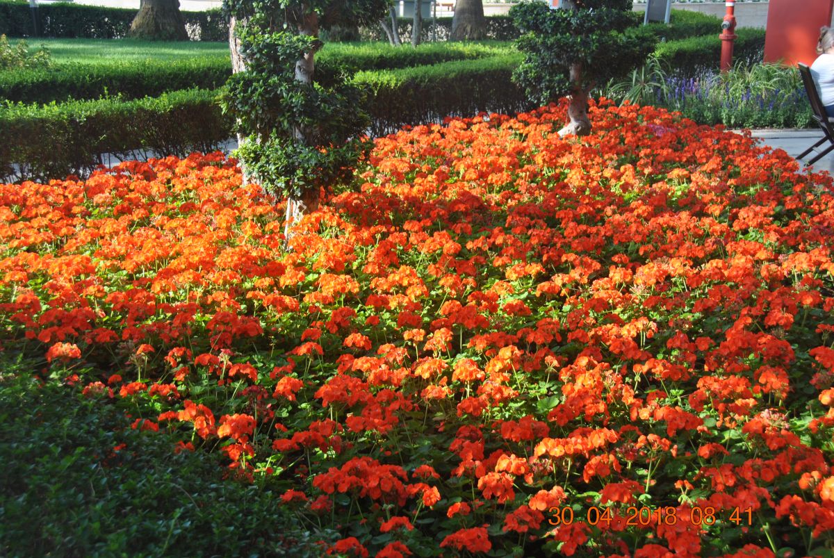 imagini hotel OTIUM LIFE KEMER